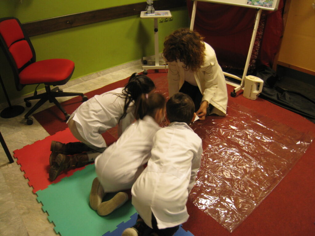IMG 7262