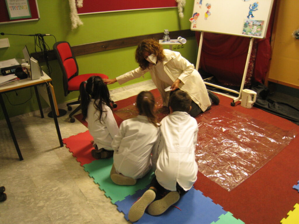 IMG 7264